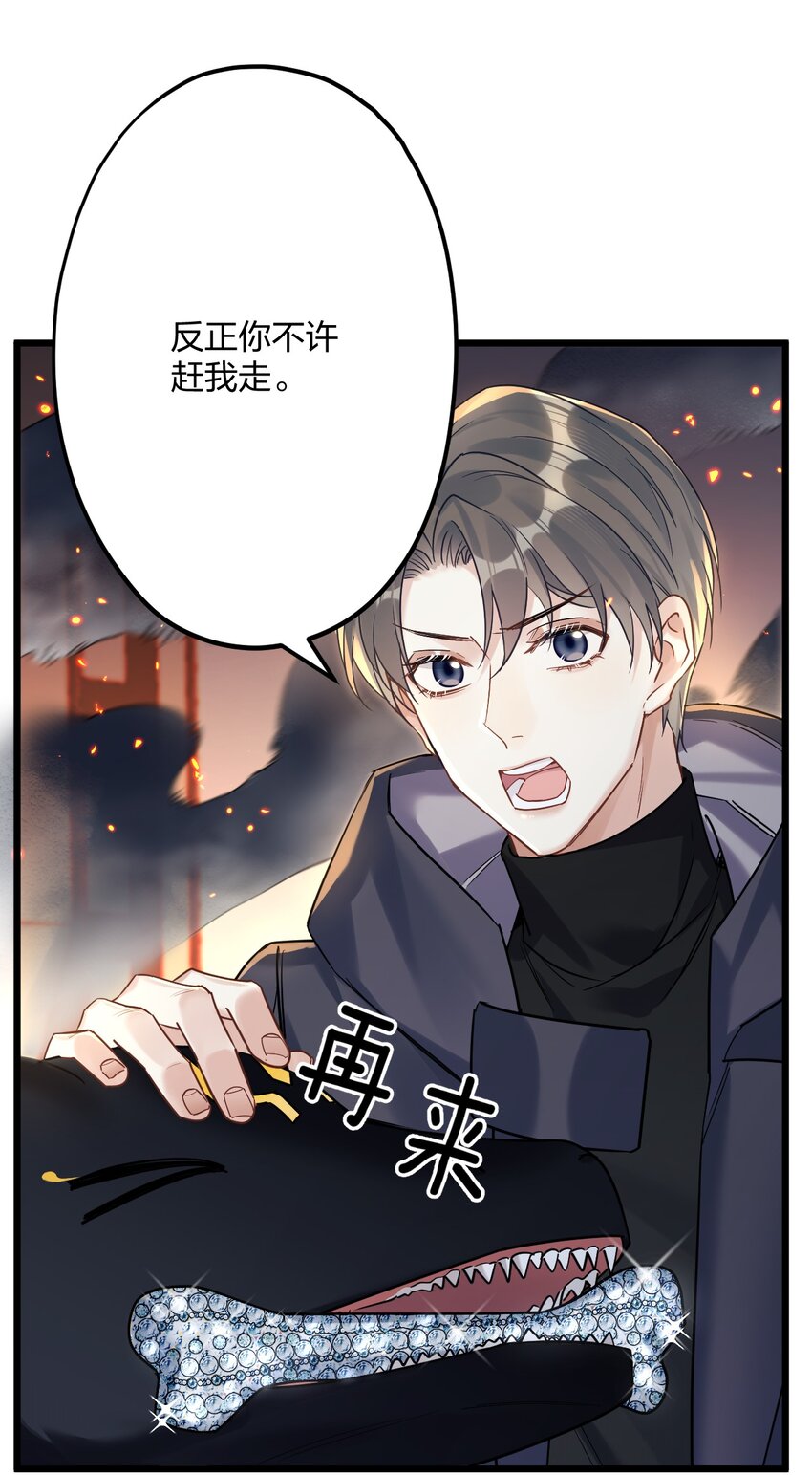 25 是龙是狗？22