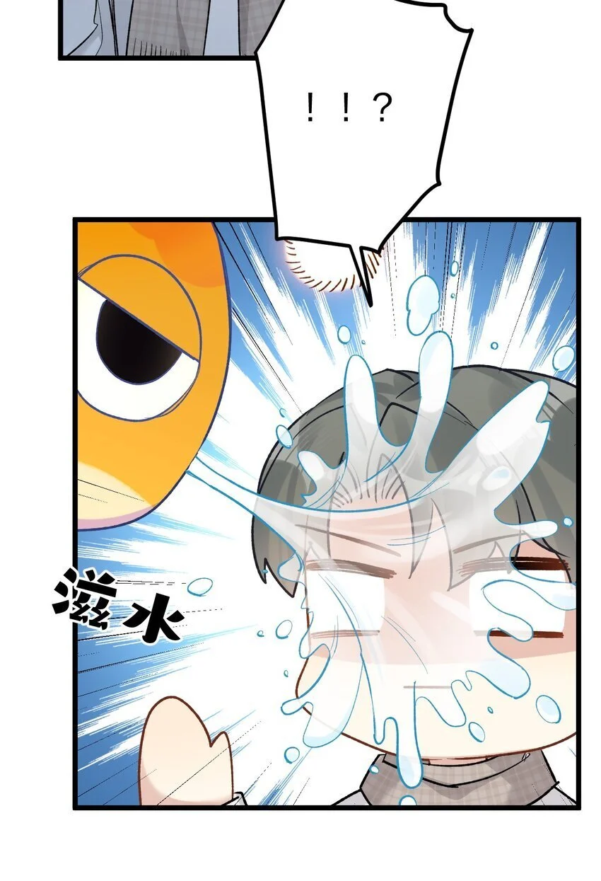 63 桔梗4