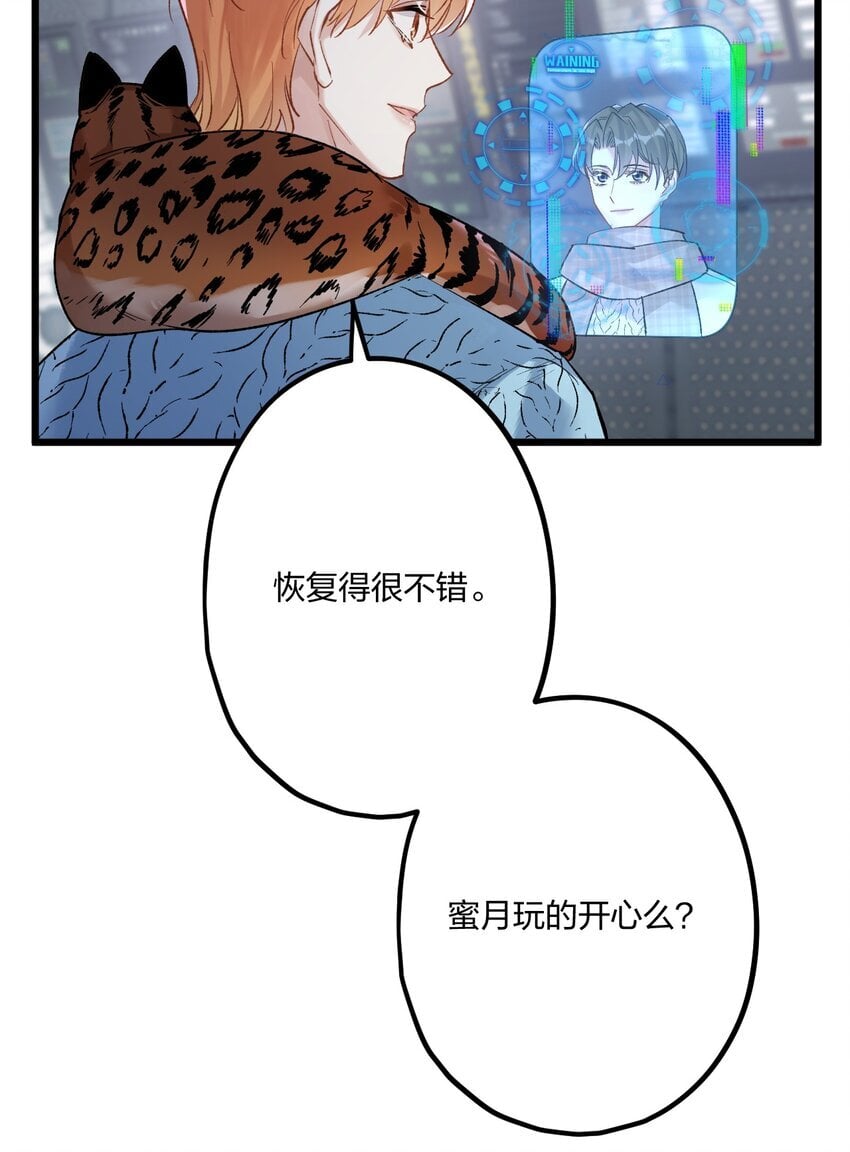 62 蜜月230