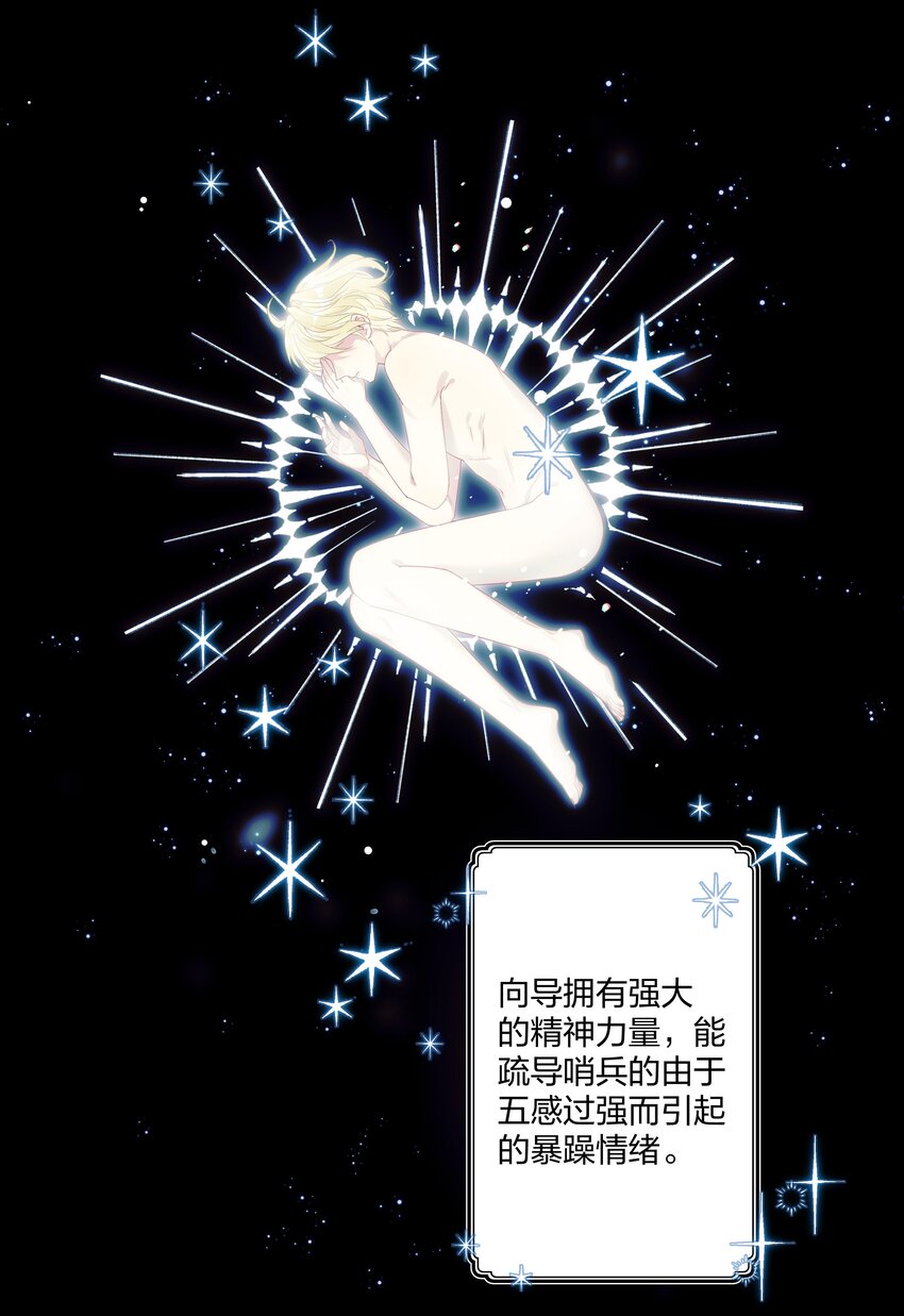 1 低级向导7
