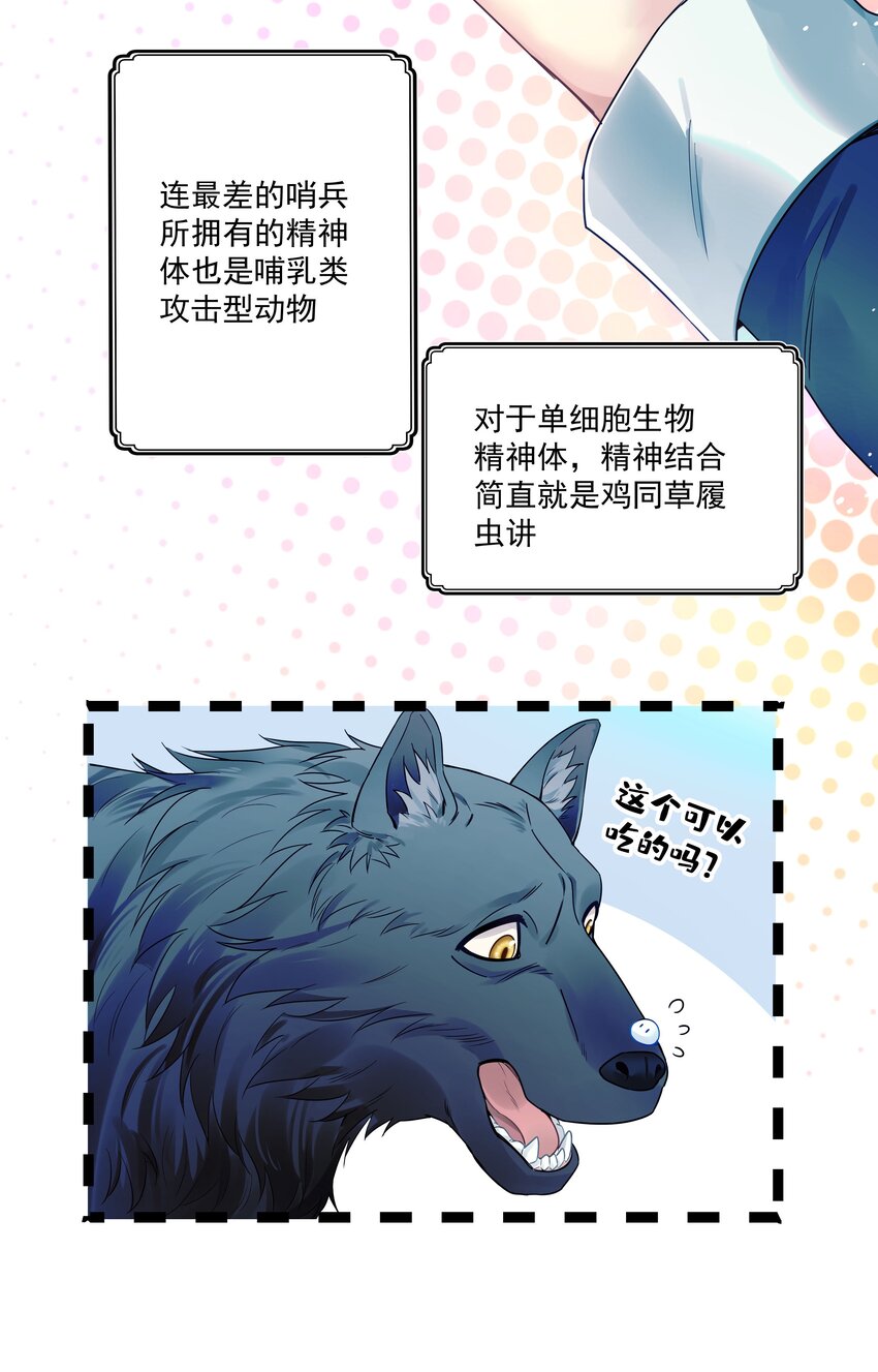 1 低级向导12
