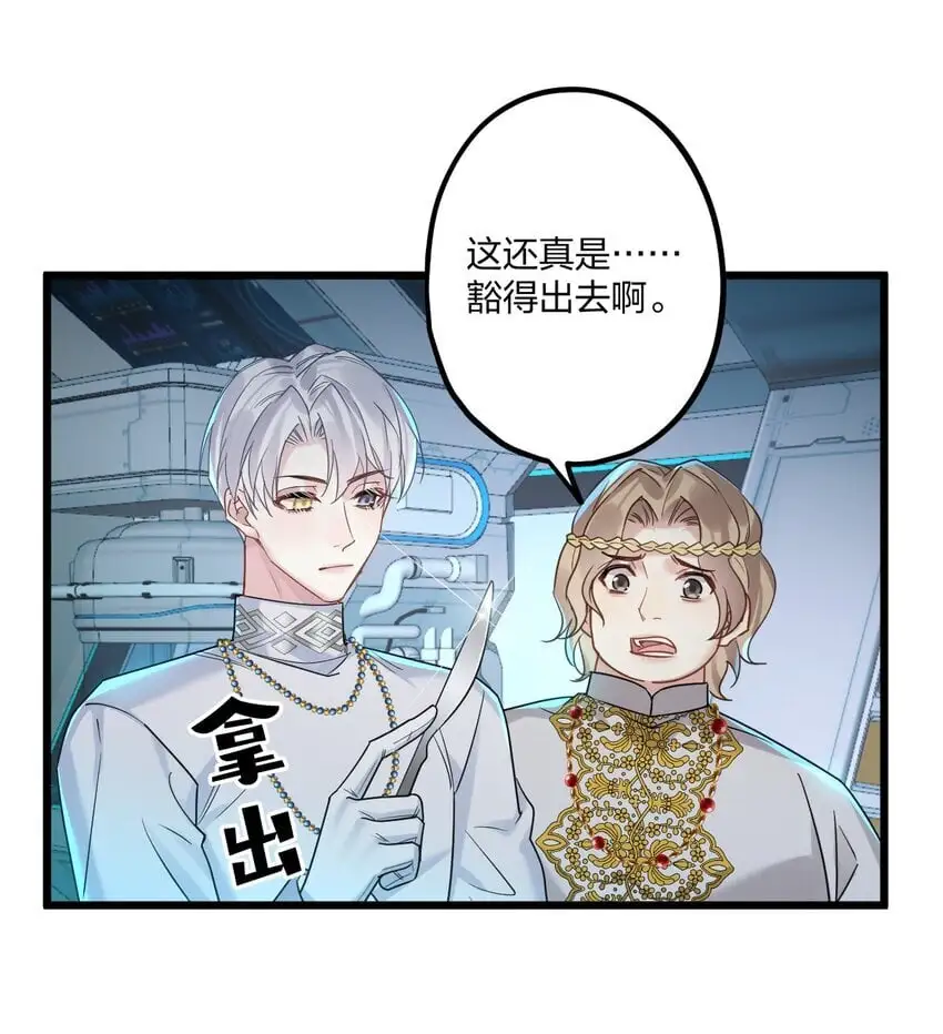 67 心脏26