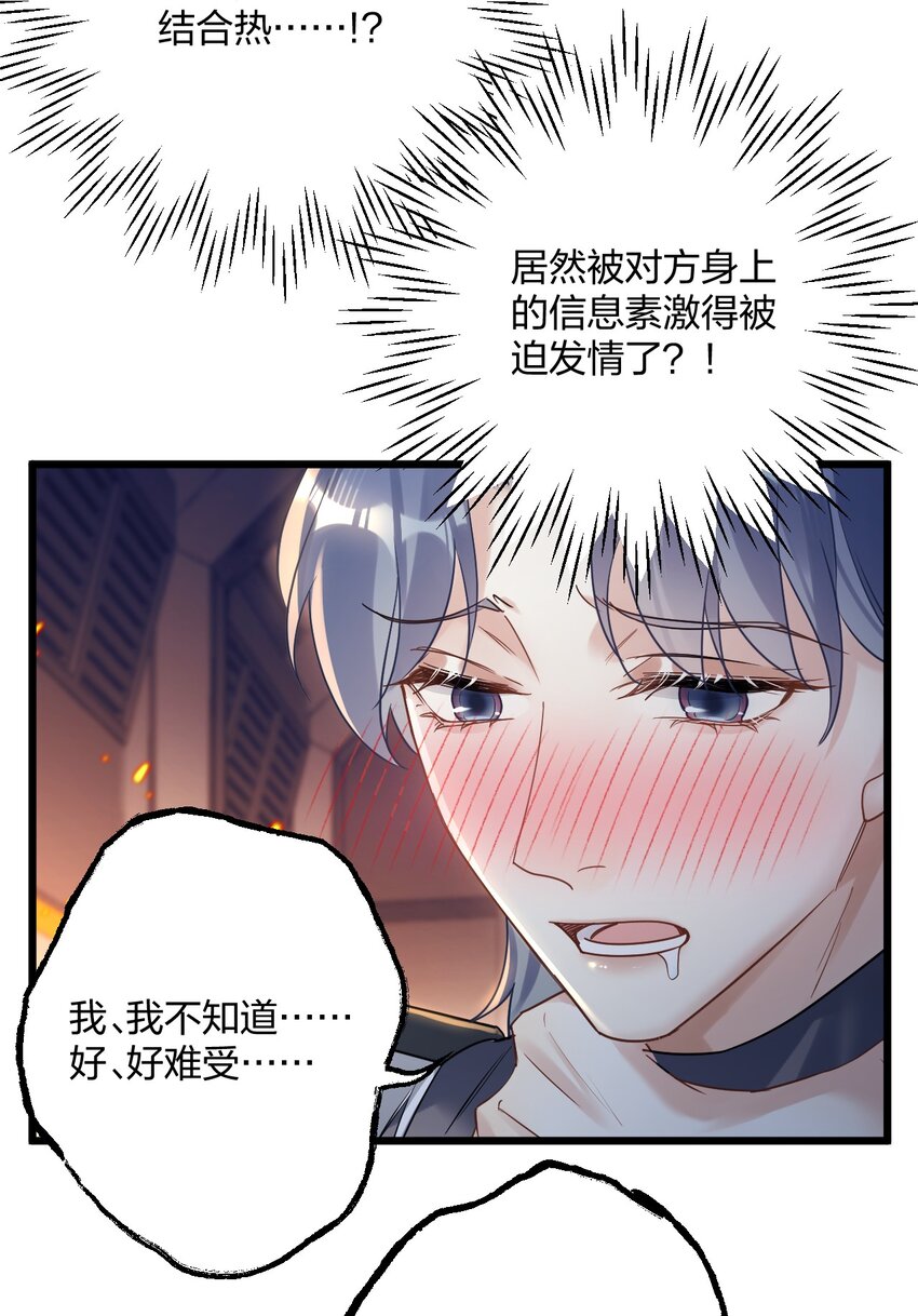 24 选择题19