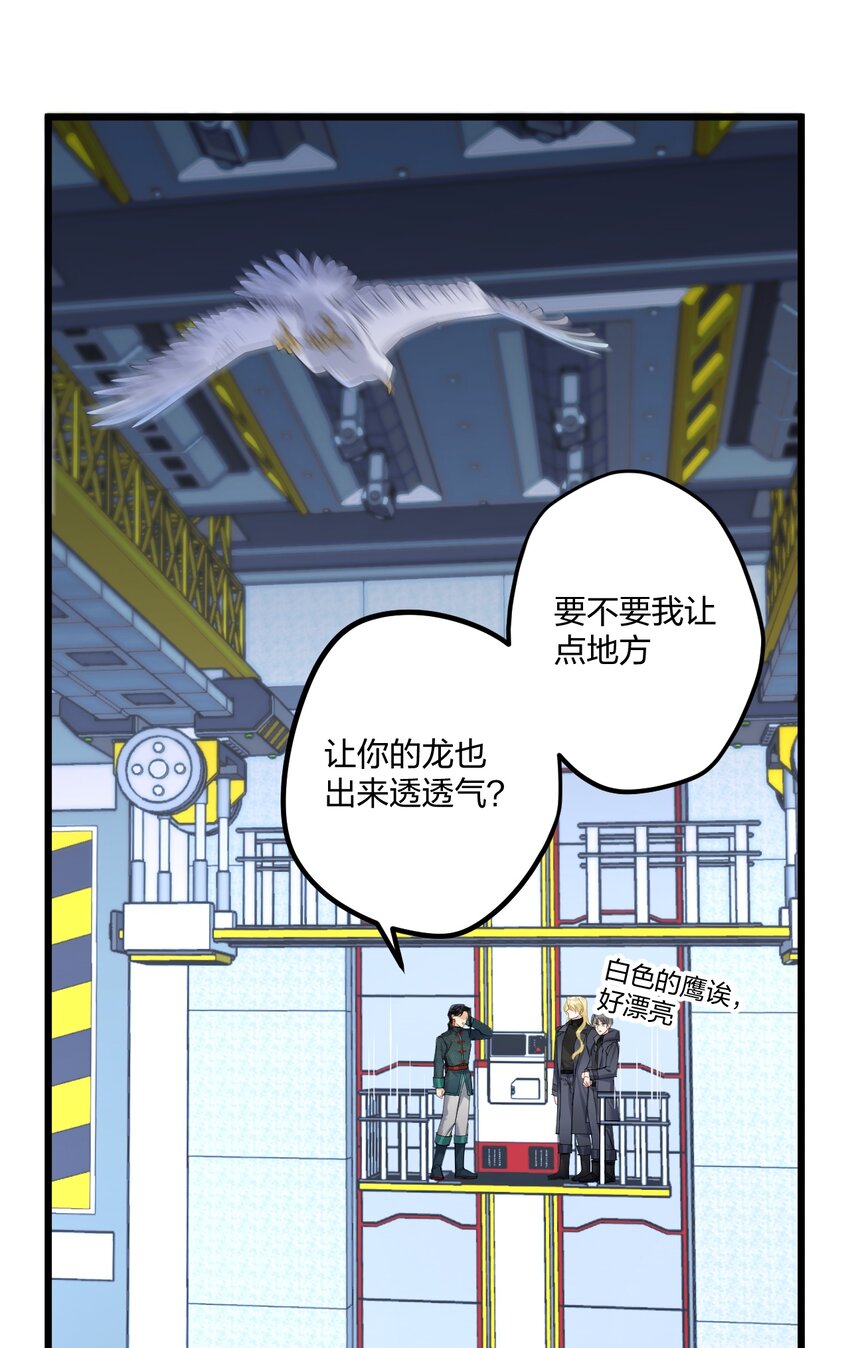 20 你是个向导？40