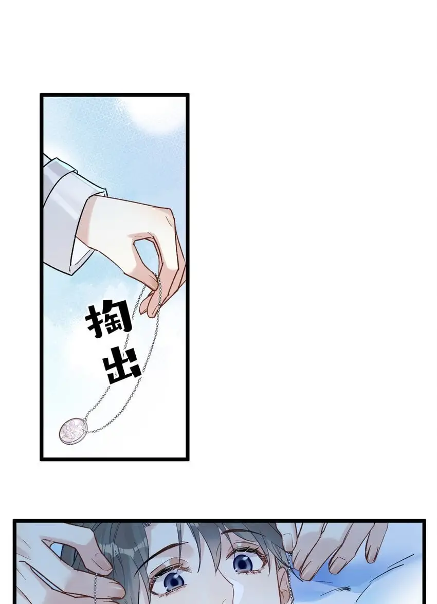 63 桔梗37