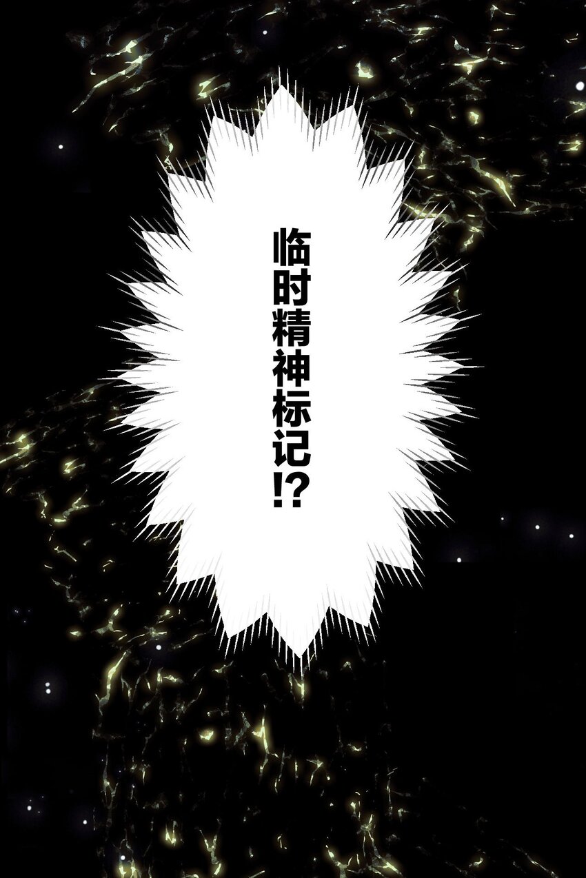 5 精神标记30