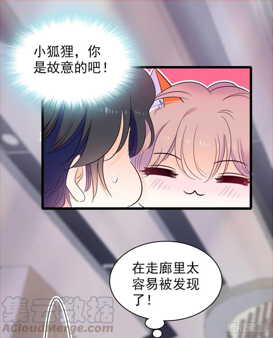 126 小狐狸要闹春6