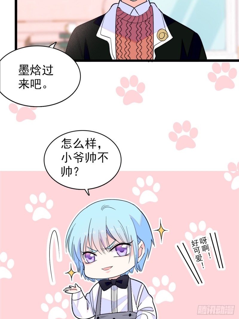 064 小狐狸被泼硫酸？！22