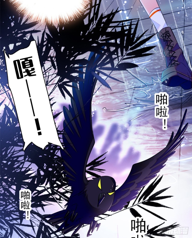 070 被盯上了34