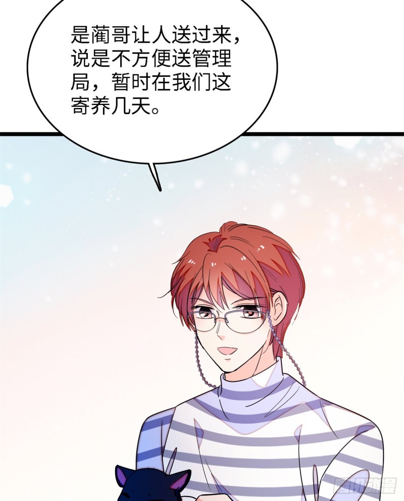 153 麻雀姐姐，专治绿茶18