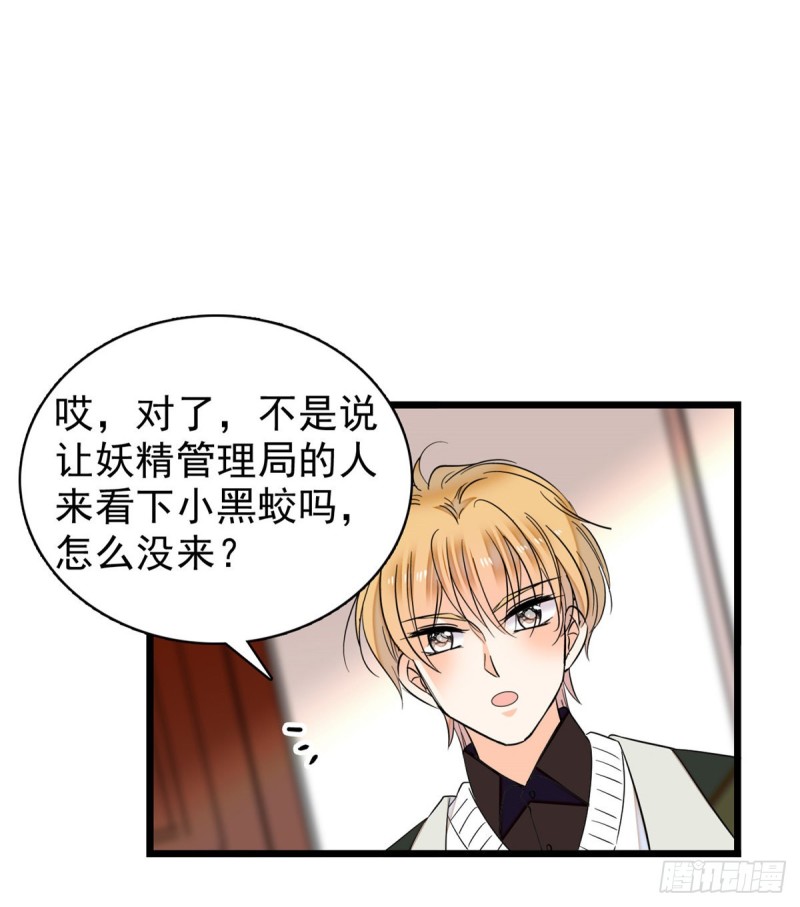 042 我为什么心跳又加快了！12