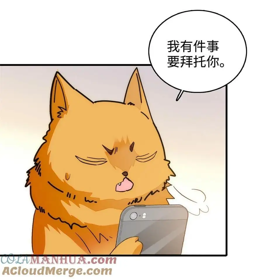 269 真的怀了呢！18