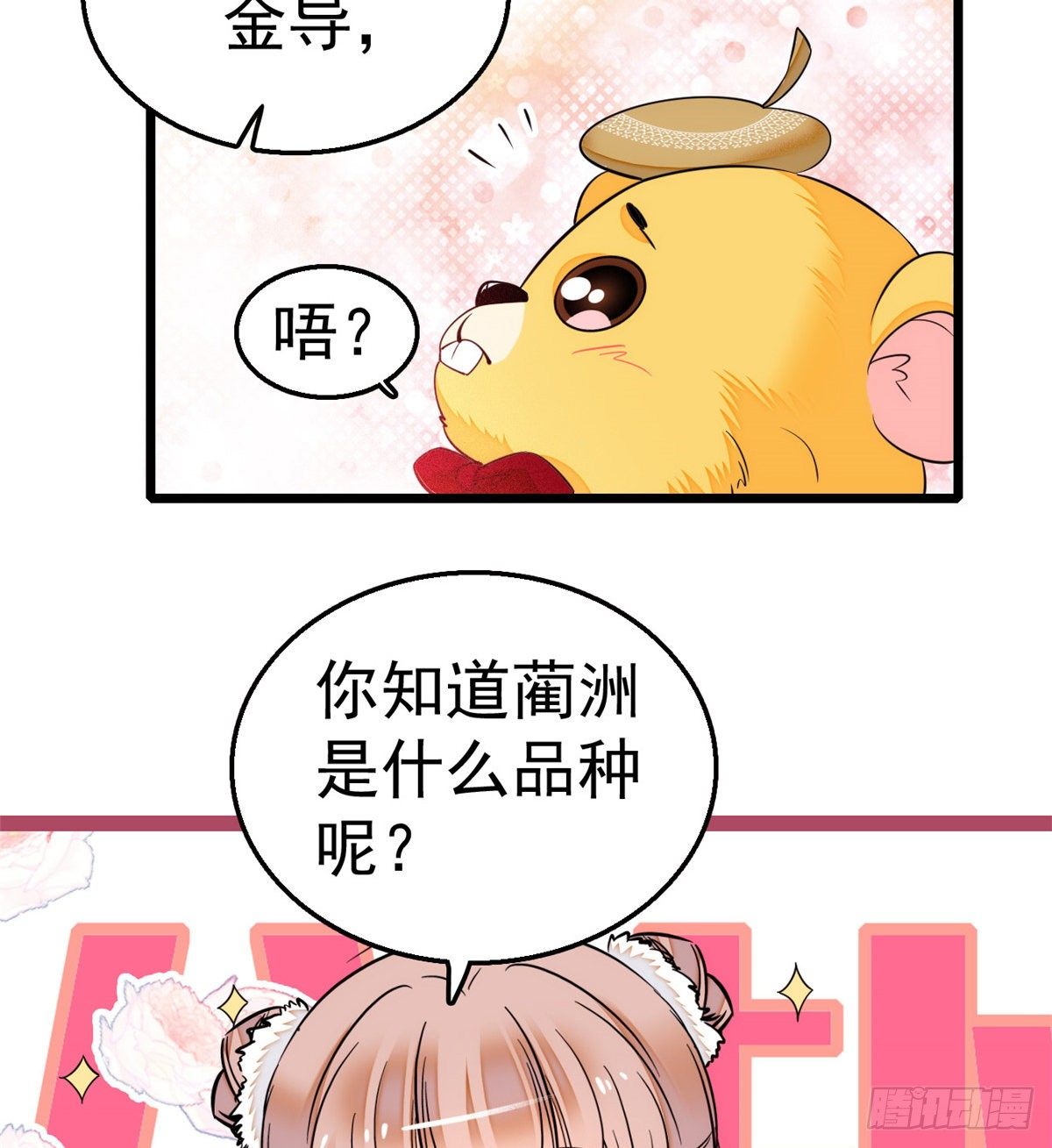 013 快跑，妈粉要来了！22