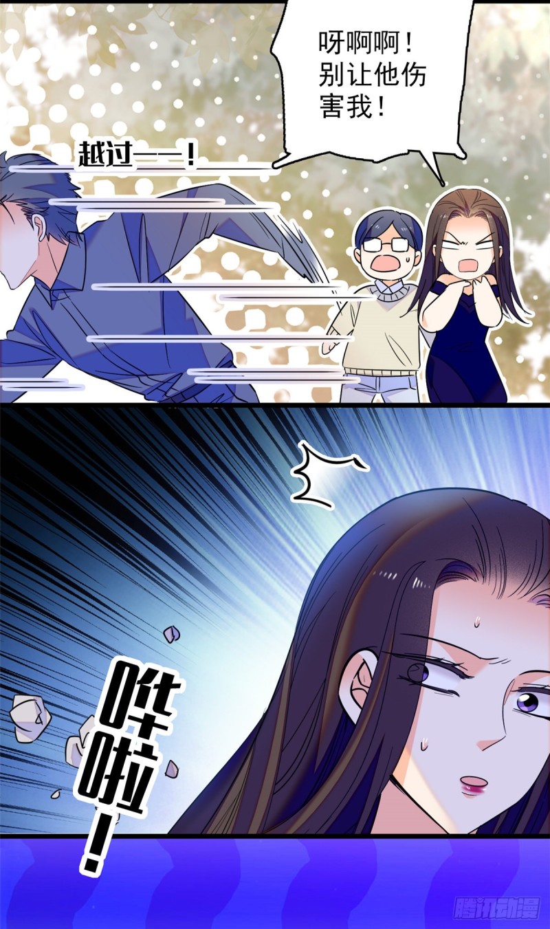 065 我会保护好蔺洲的24