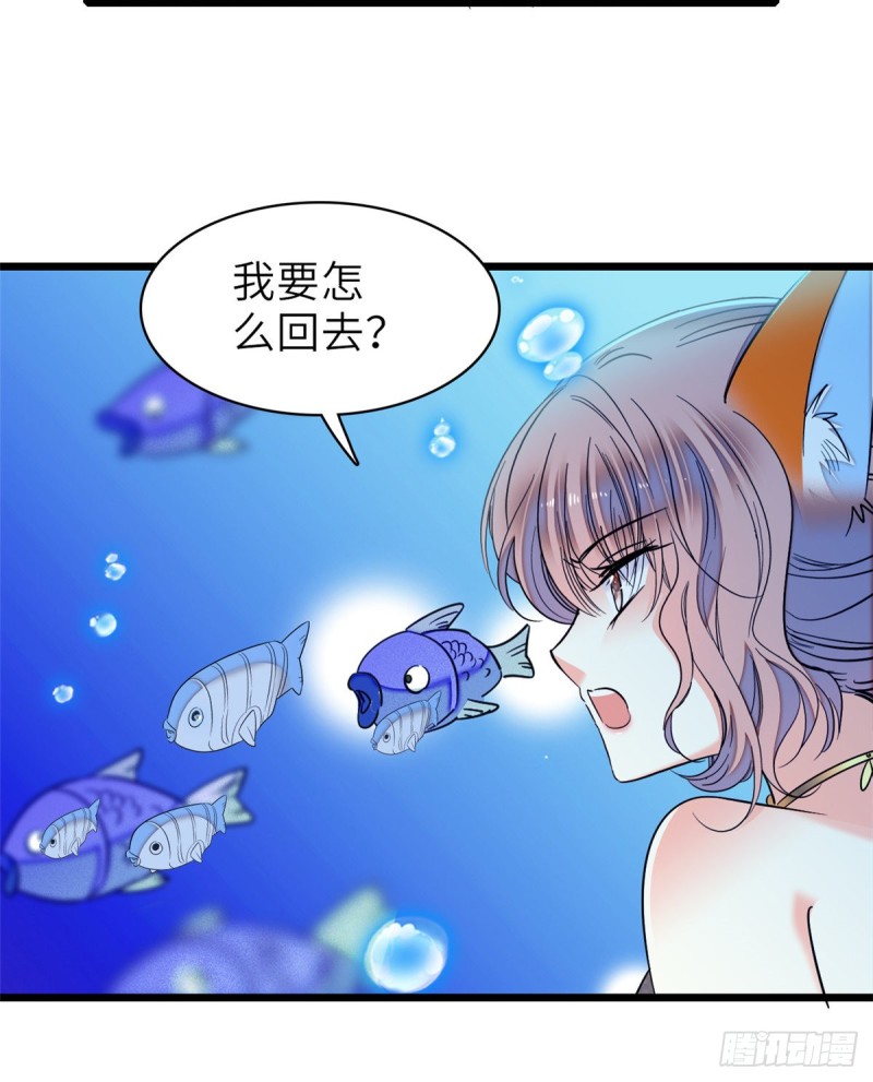 056 和鱼头汤二人世界？！50