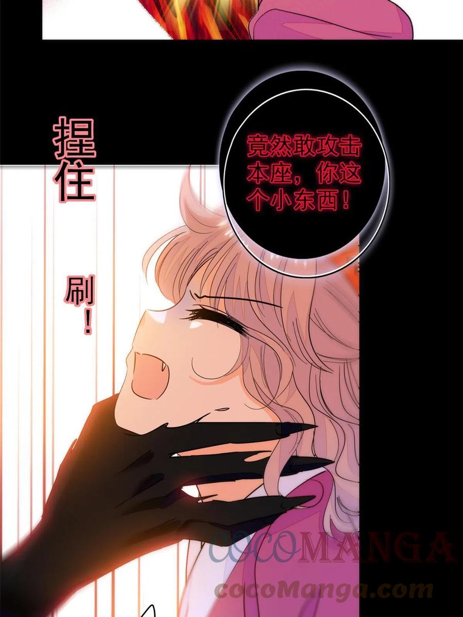 205 蔺洲，我想见白泽……18