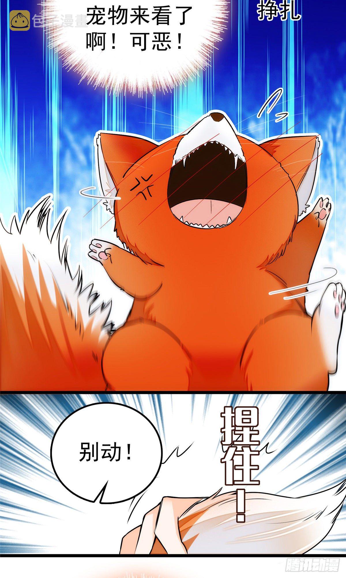 004 别摸我的尾巴啊22