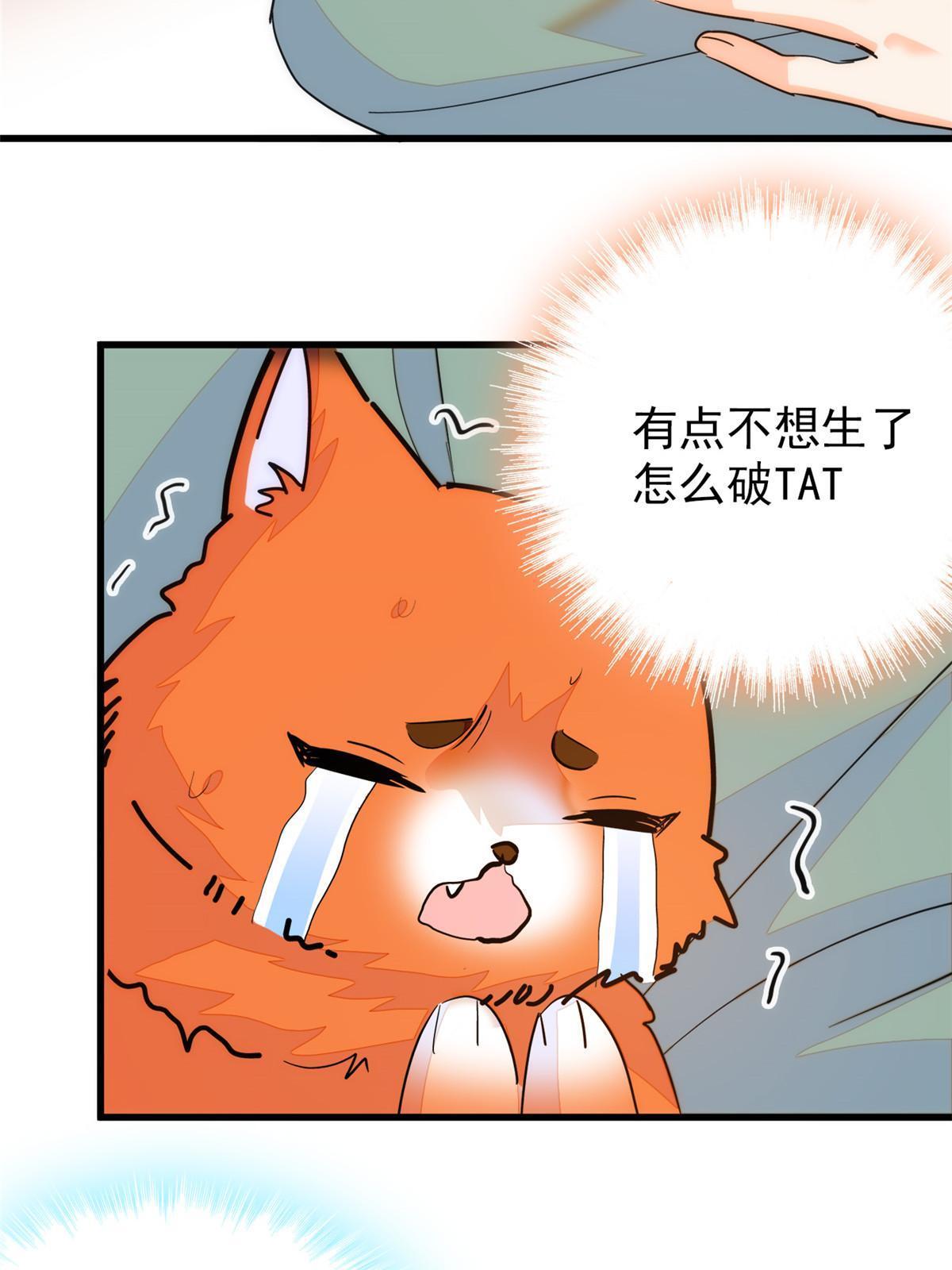 232生了！52
