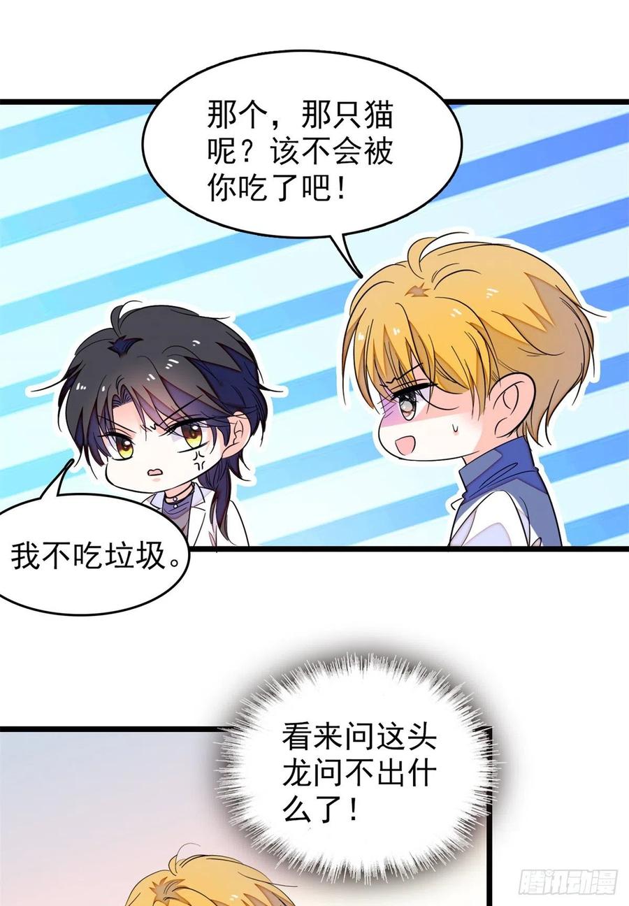 152 蔺洲牌狗粮不能随便吃8