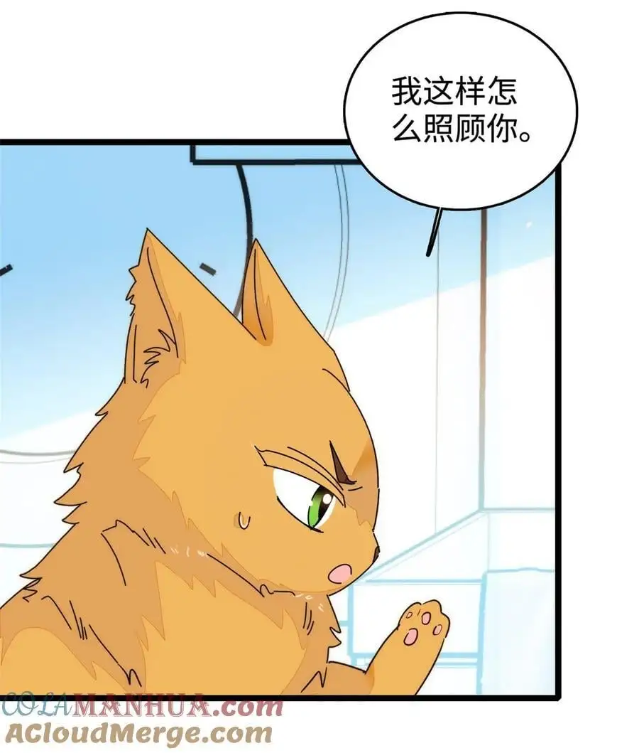 269 真的怀了呢！9
