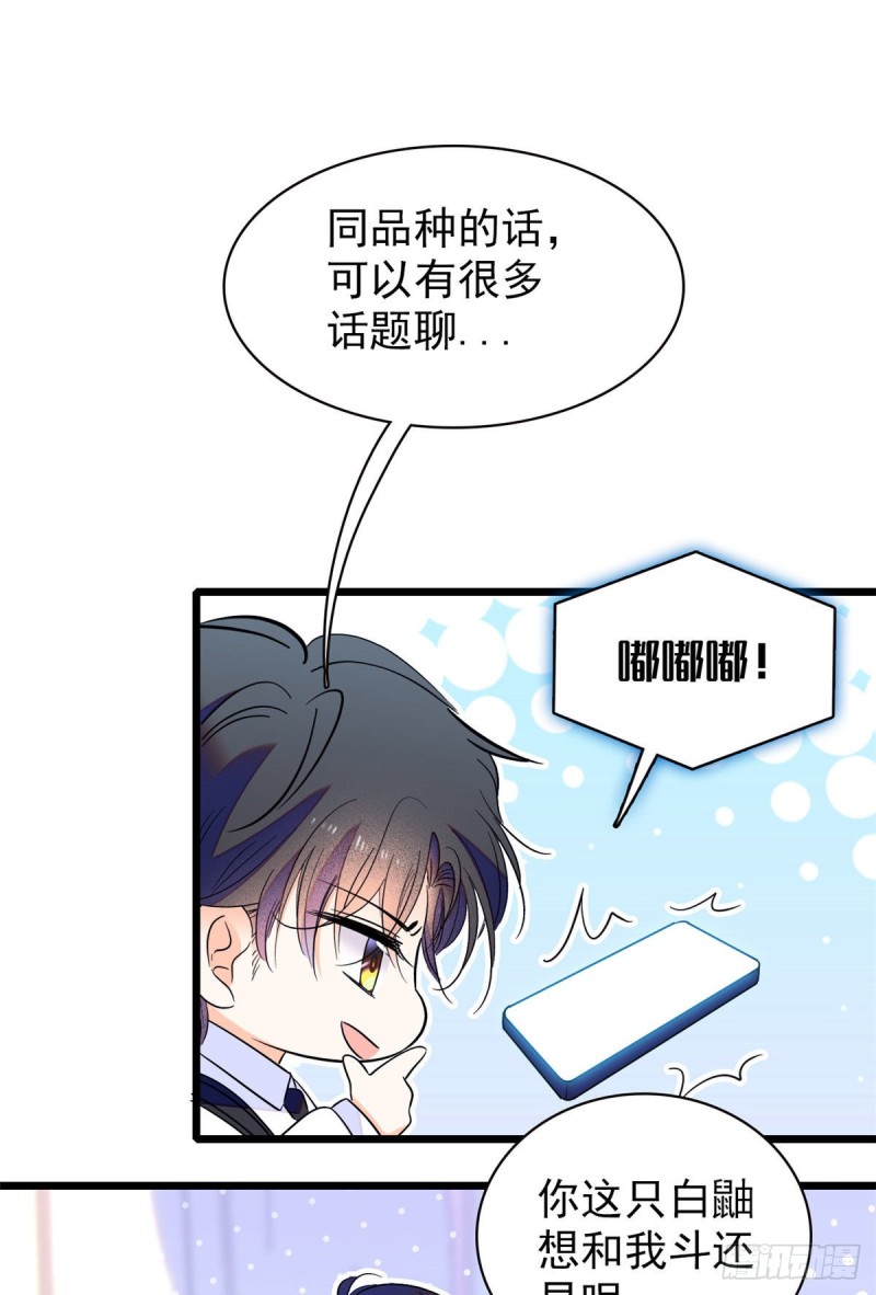 099 裴影帝的告白19