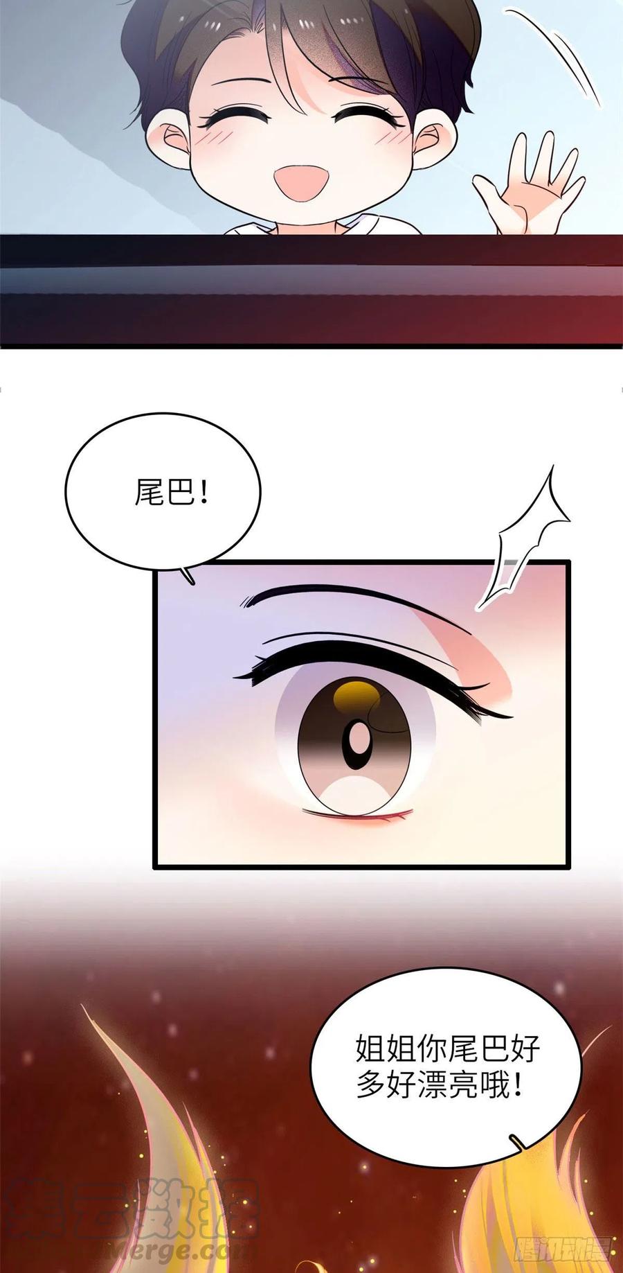 075 三尾狐狸，诞生40