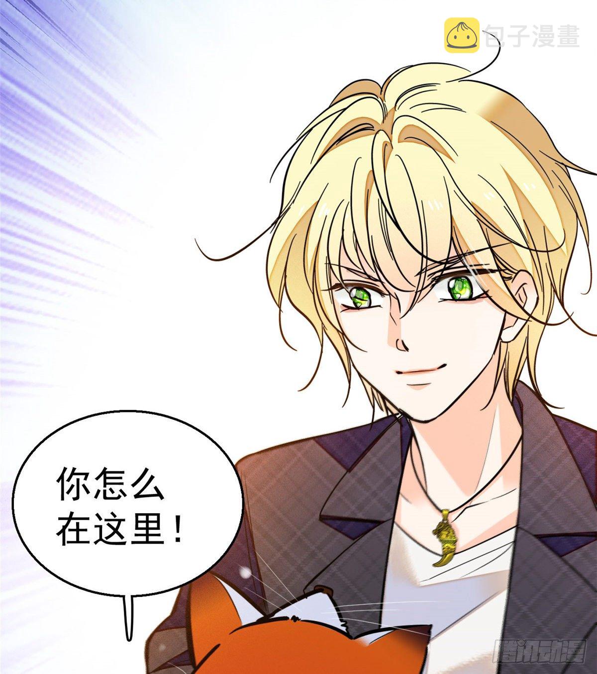 017 小狐狸，惊喜吗？53