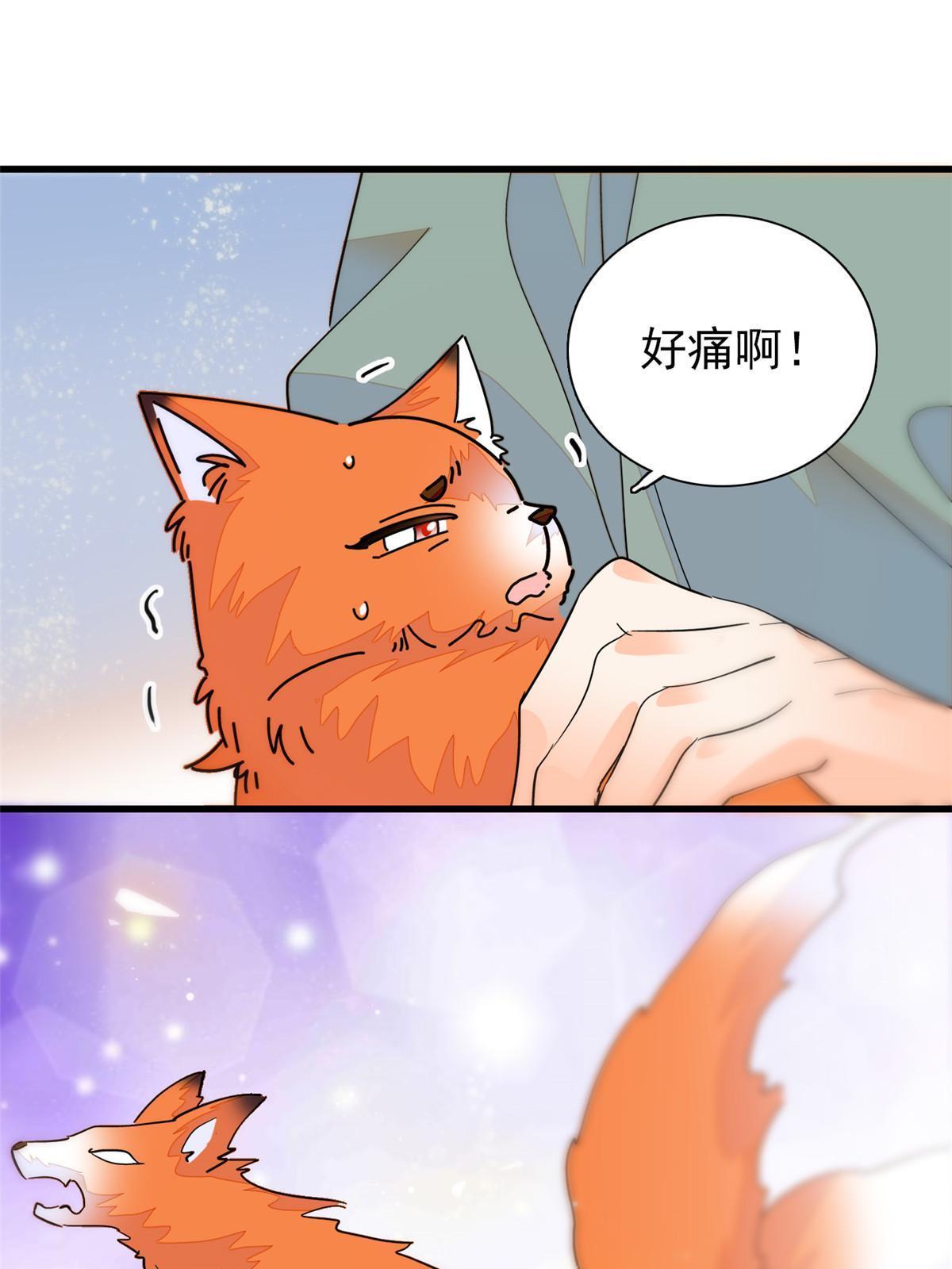 232生了！55