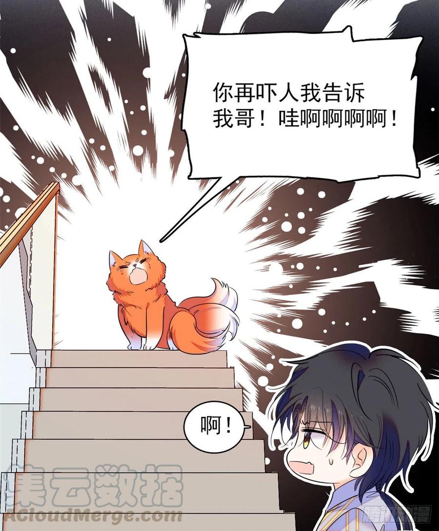 092 蔺洲你被绿了51