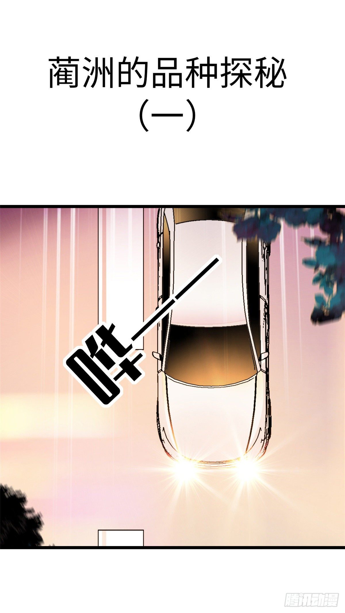 035.5 蔺洲品种大探秘！1