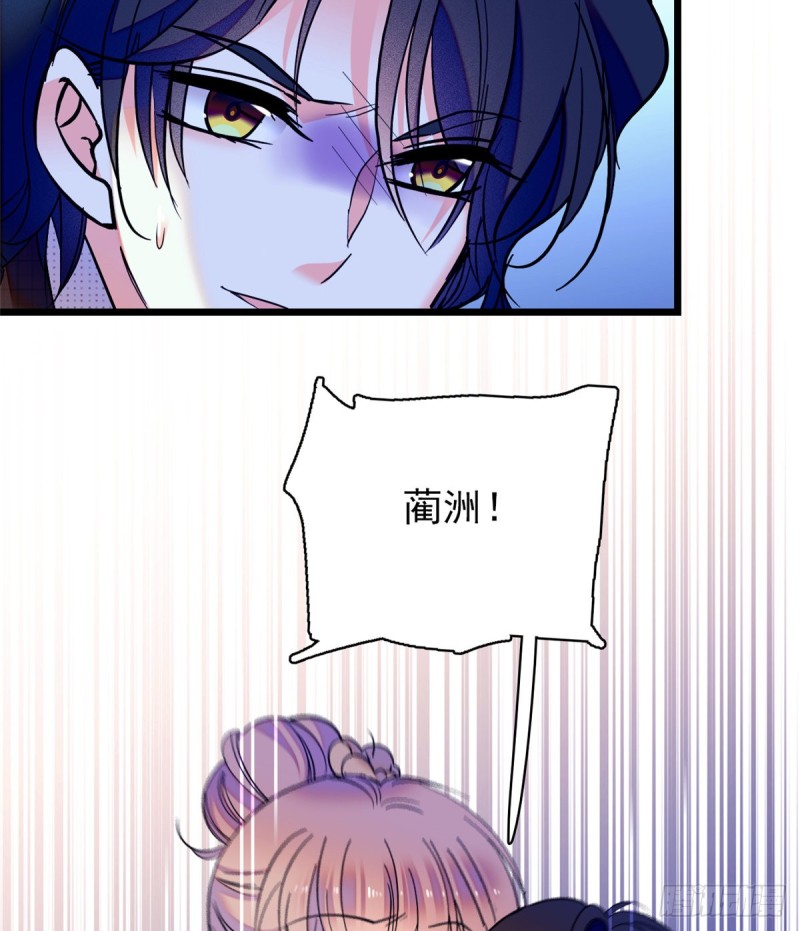064 小狐狸被泼硫酸？！50