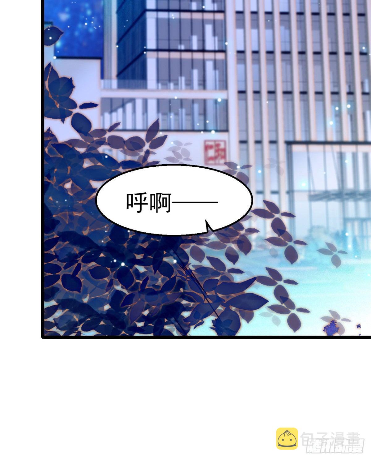 010 想撸狐狸了42