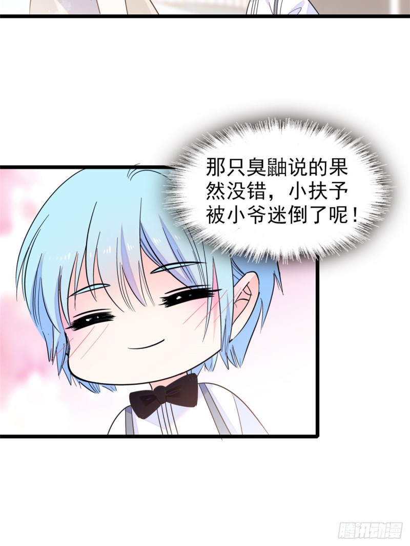064 小狐狸被泼硫酸？！24