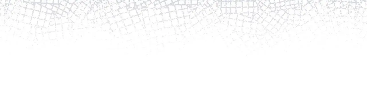 第51话 兄弟相见39