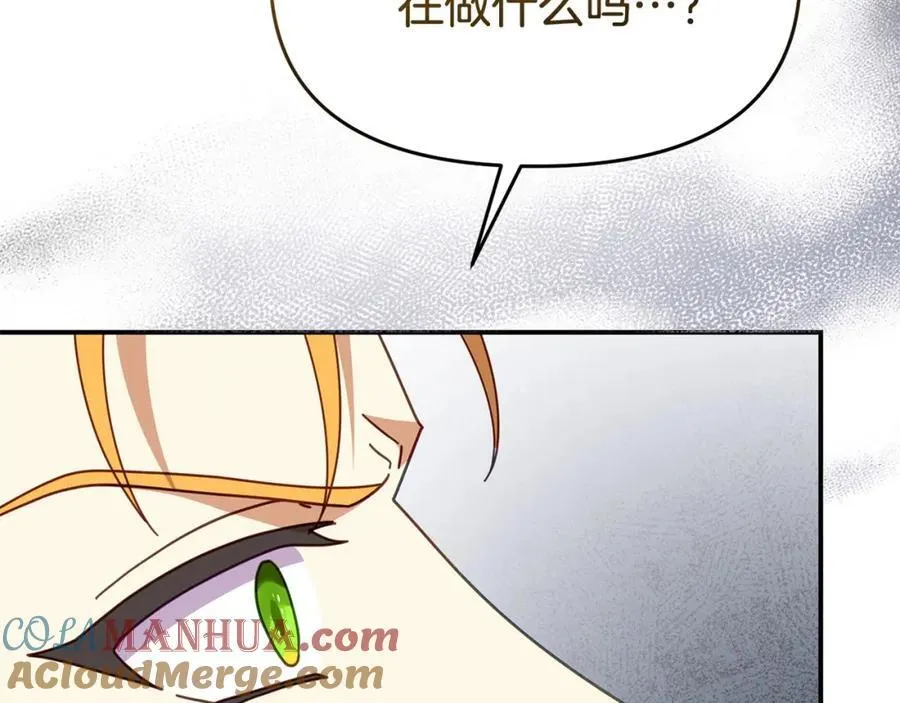 完结篇 终于可以坦白100