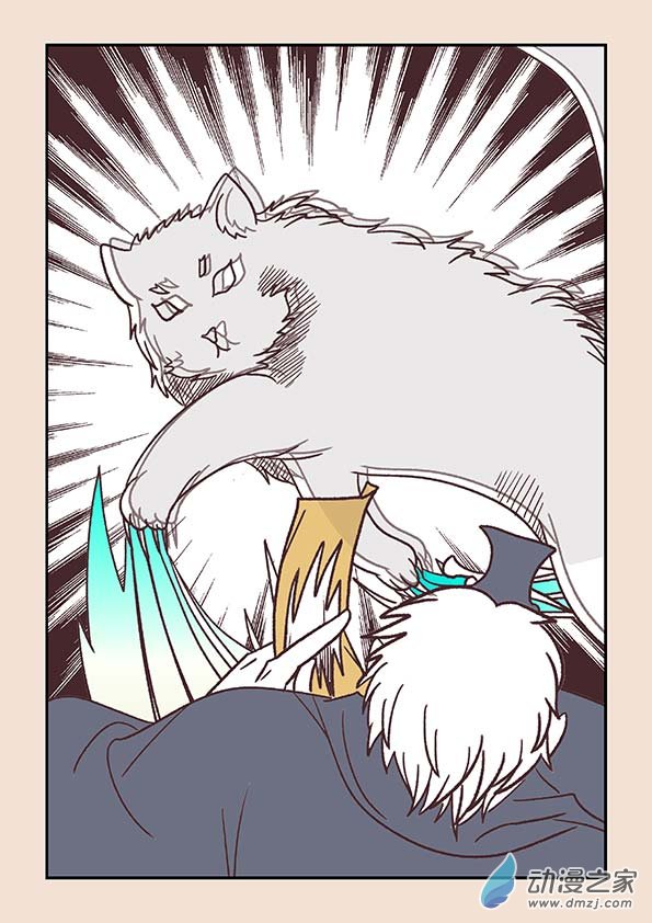 第三十六章 猫之心16