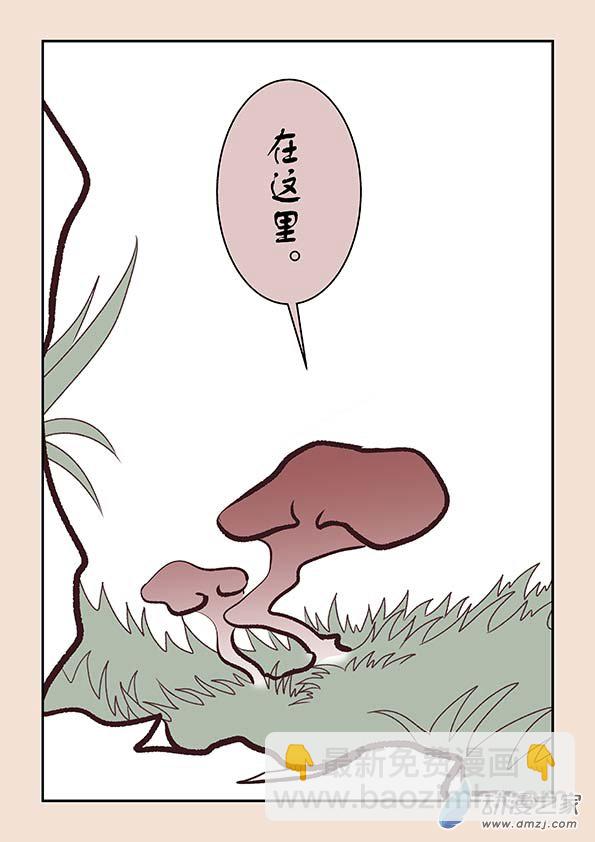 第五章 玉灵芝15
