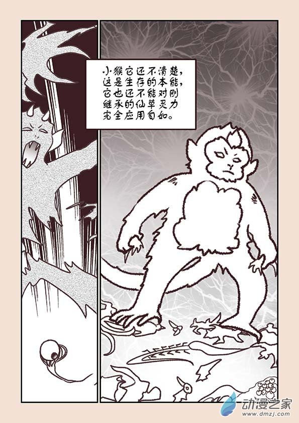 第五章 玉灵芝43