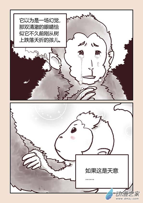 序5