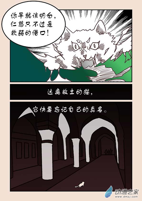 第三十六章 猫之心27