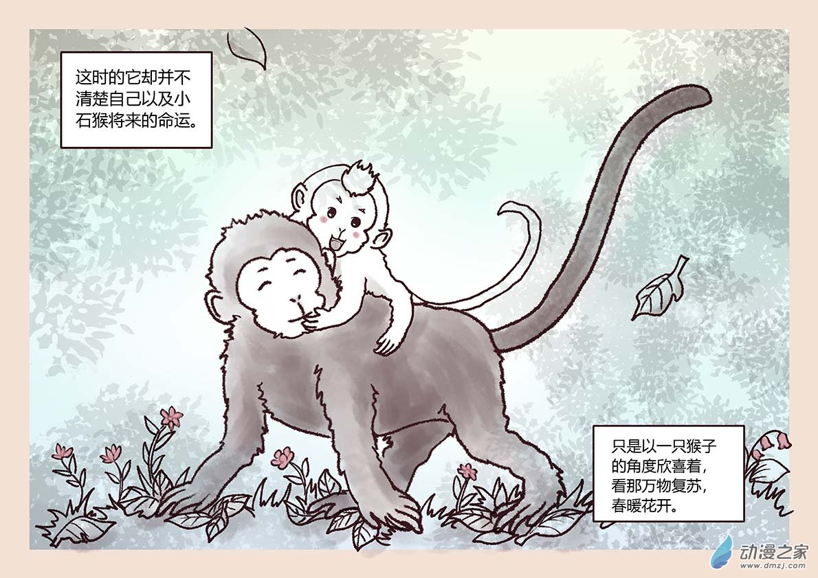 序7