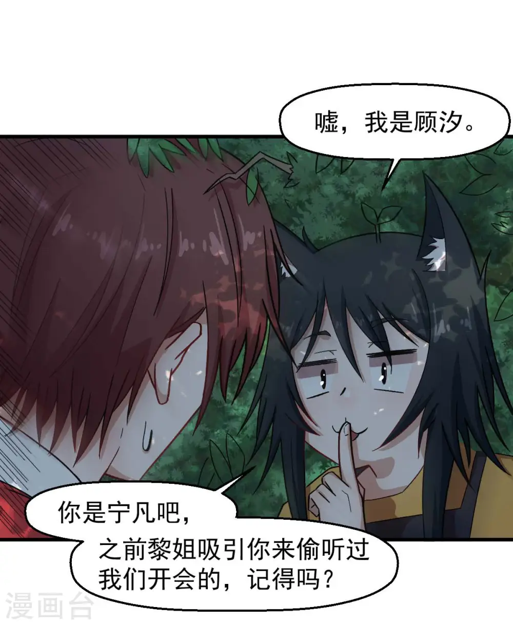 第219话 猫头鹰不是猫系？14