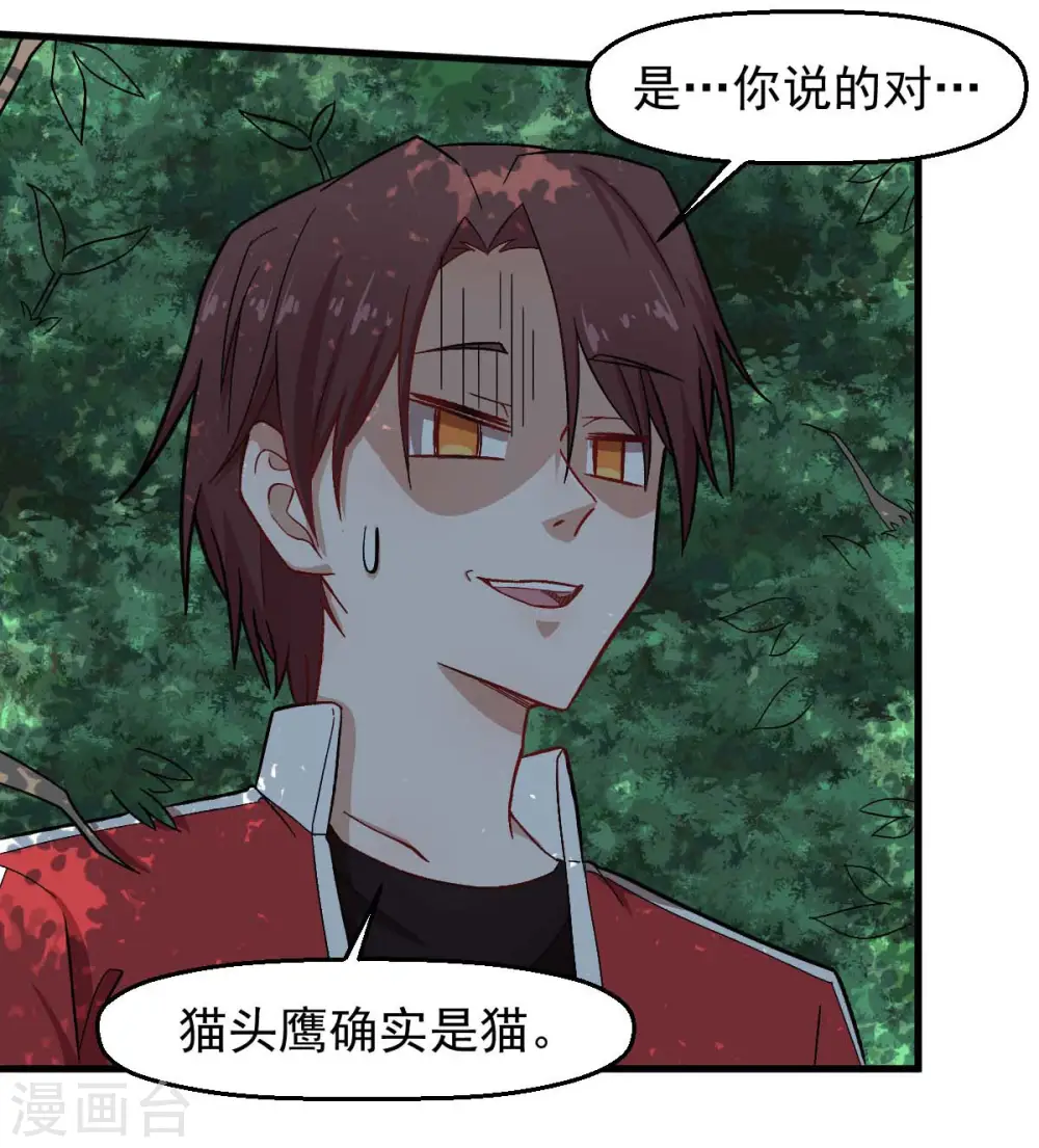 第219话 猫头鹰不是猫系？18