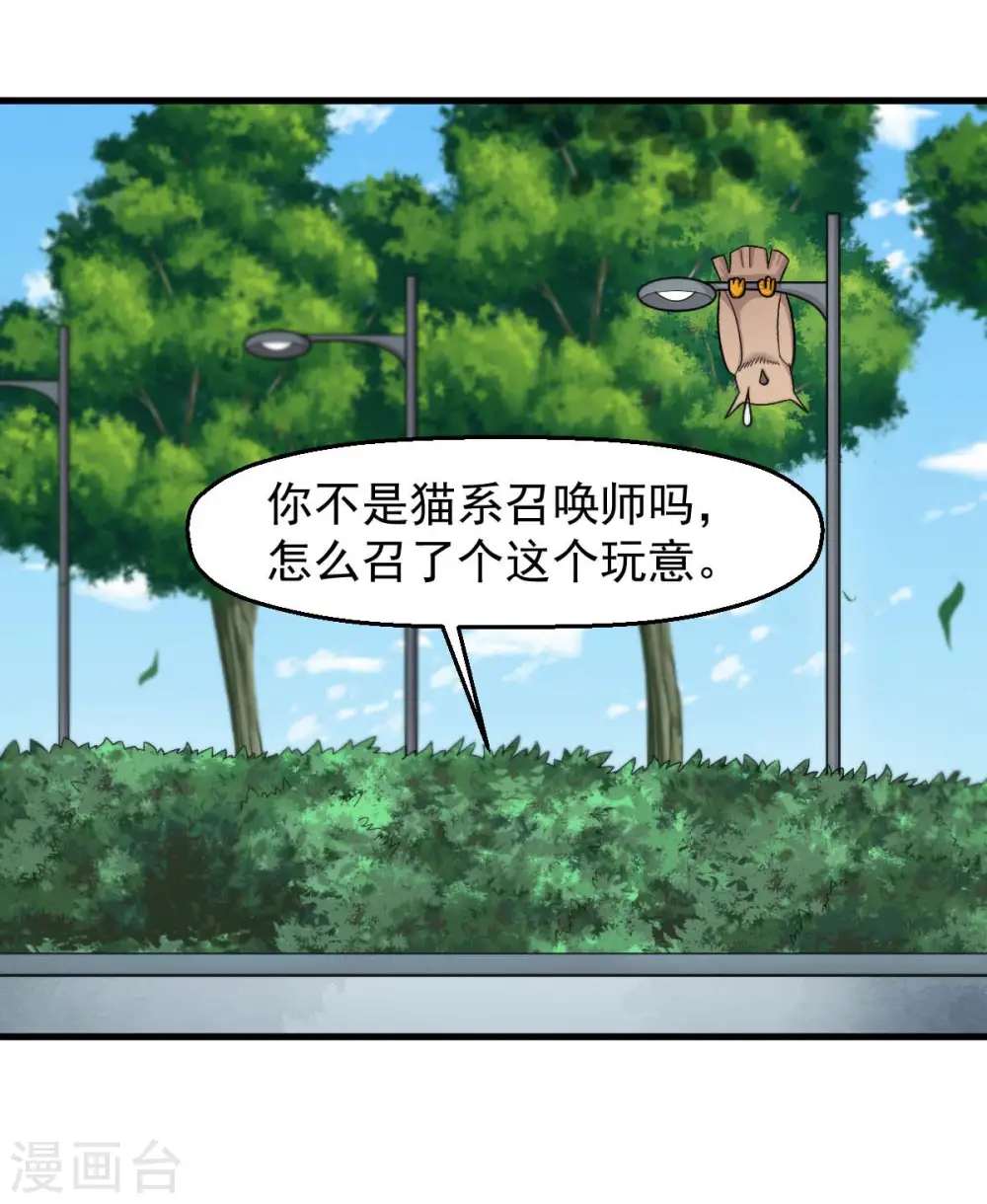 第219话 猫头鹰不是猫系？16