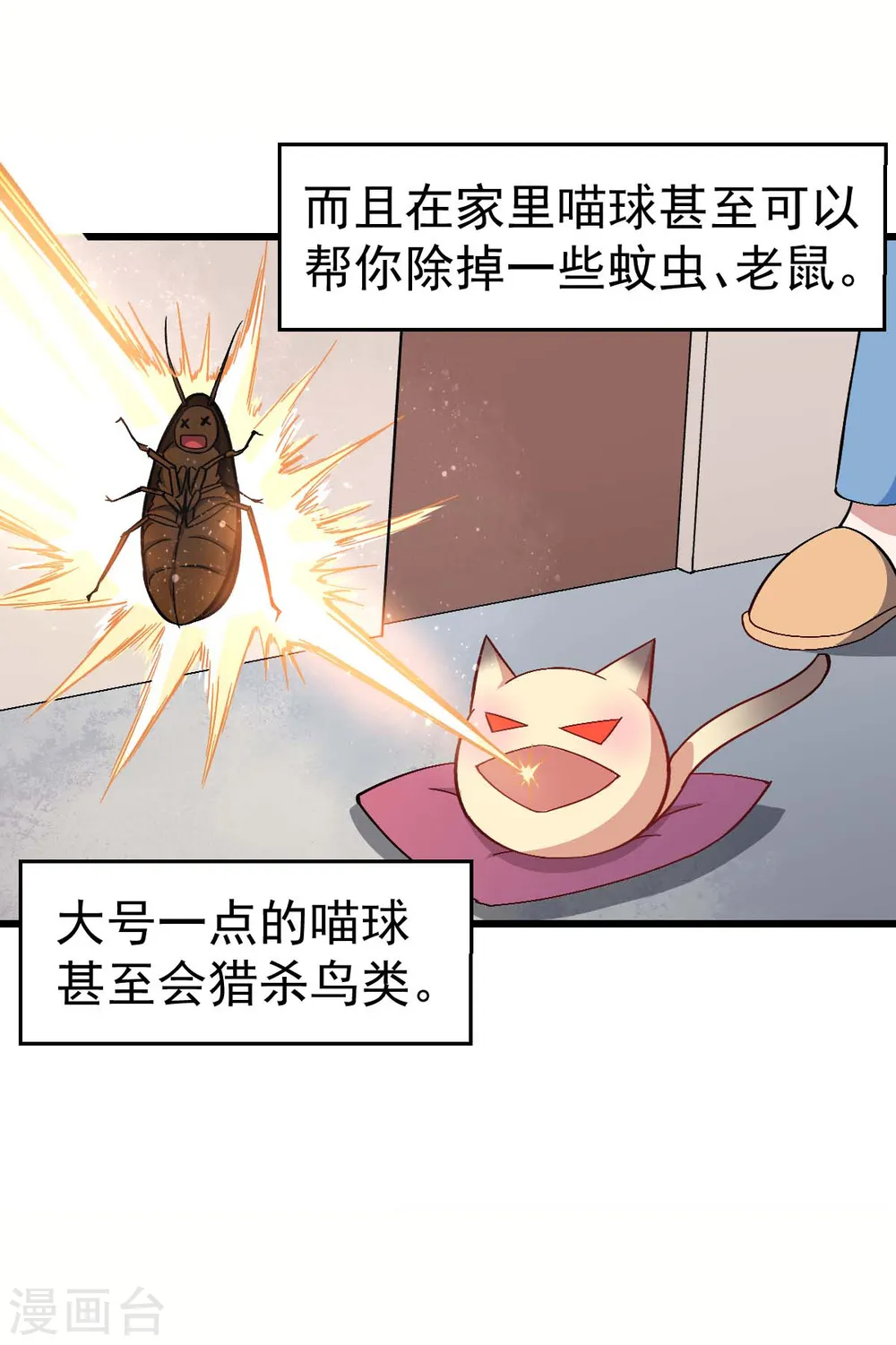 第137话 喵球2