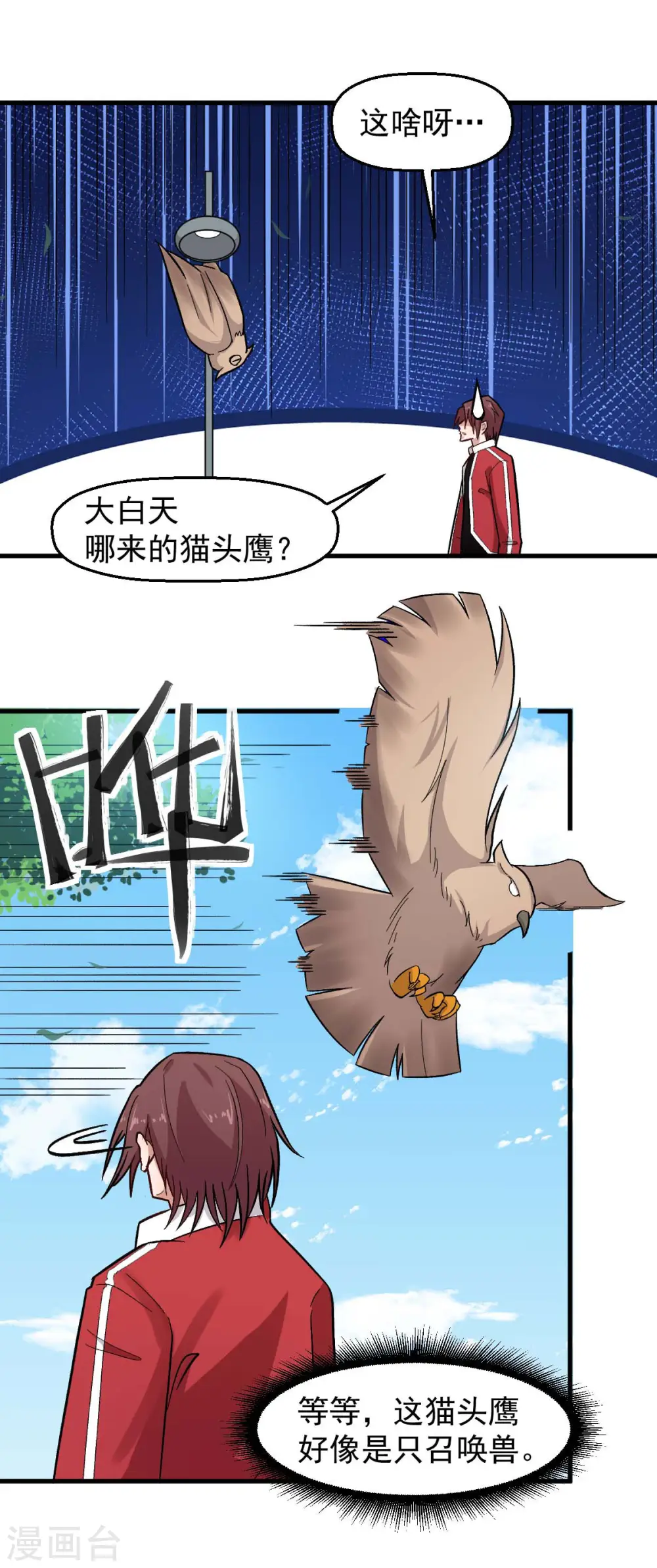 第219话 猫头鹰不是猫系？10