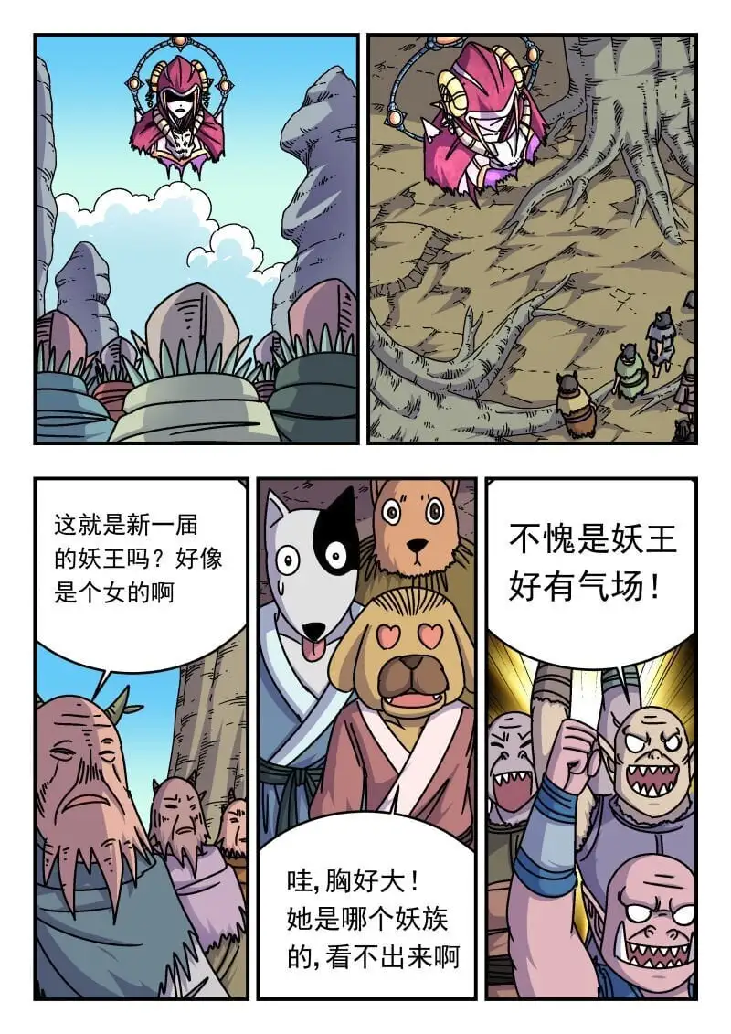 255 二五五8