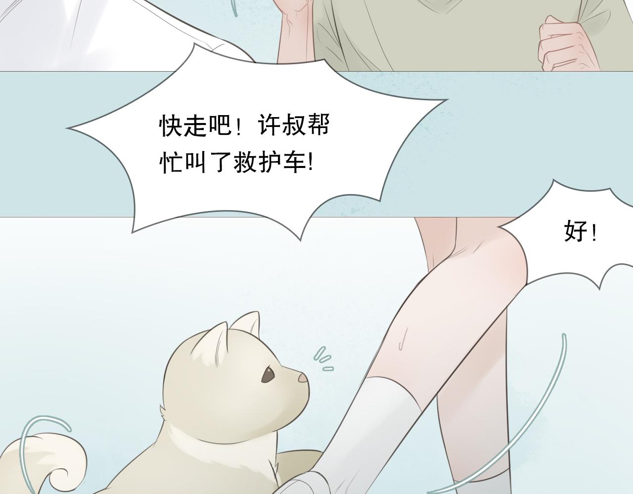 消失的夏风25