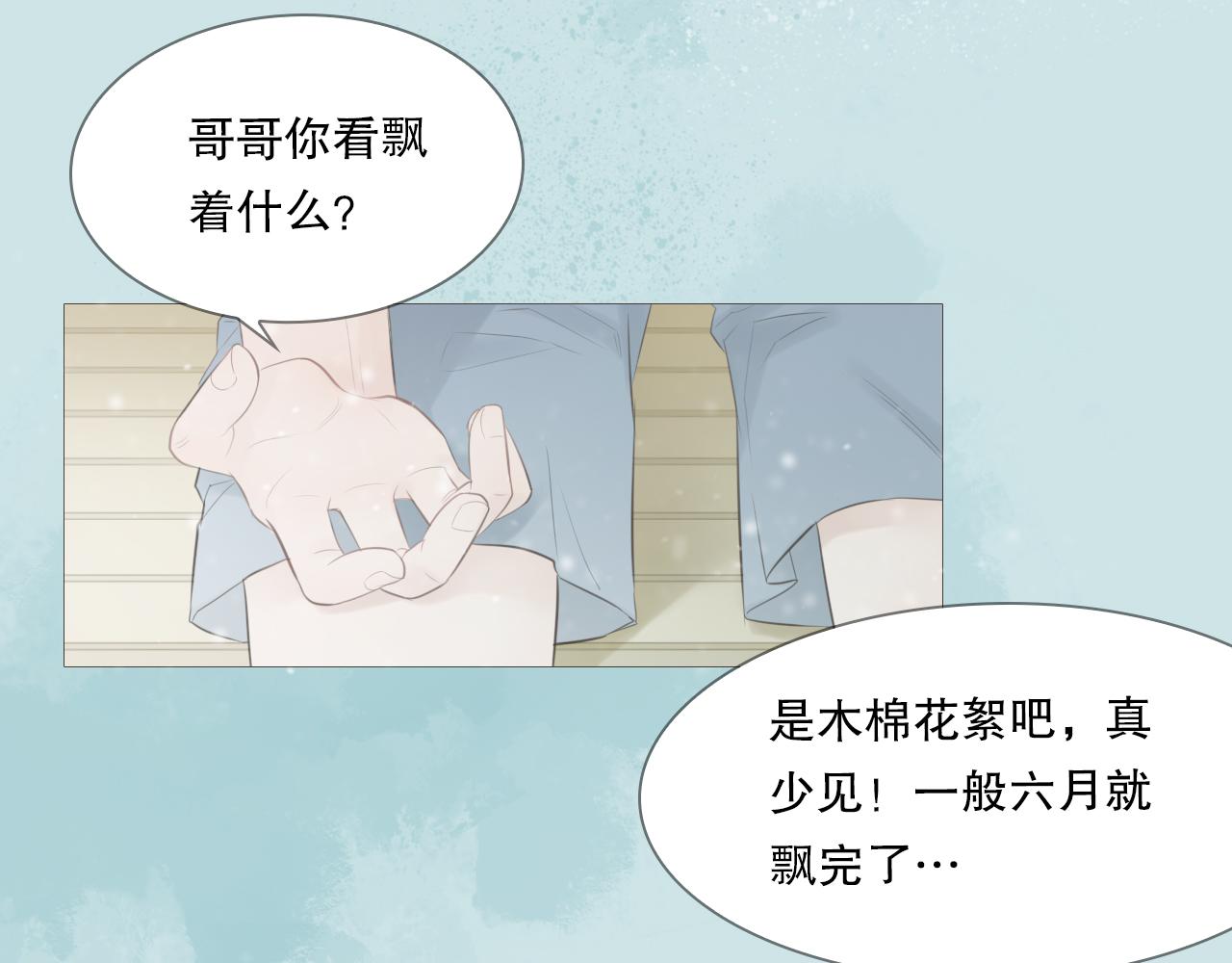 消失的夏风17