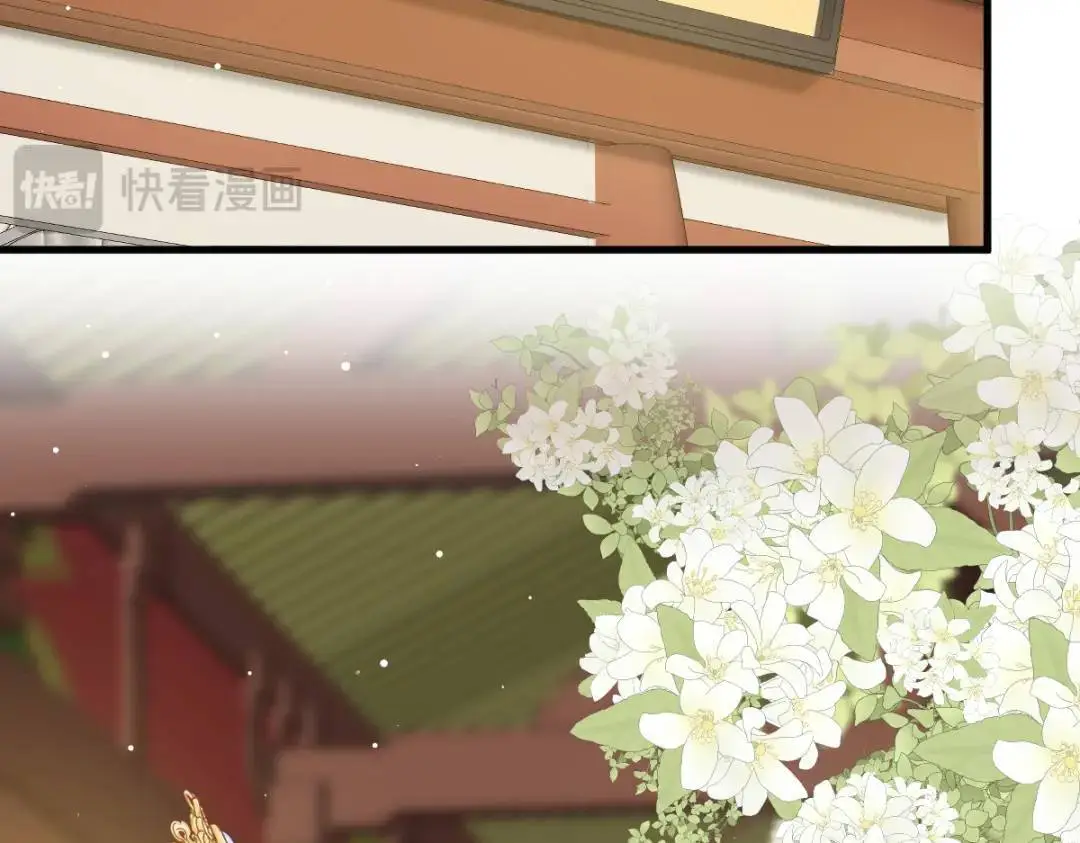 014 活要见人，死要见尸54